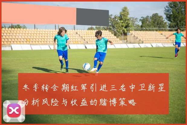 冬季转会期红军引进三名中卫新星分析风险与收益的赌博策略