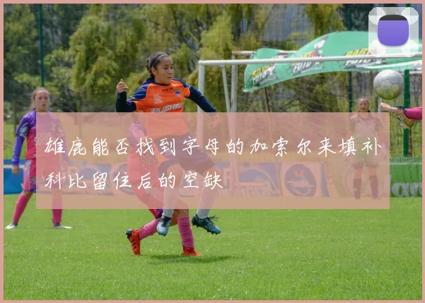 雄鹿能否找到字母的加索尔来填补科比留住后的空缺