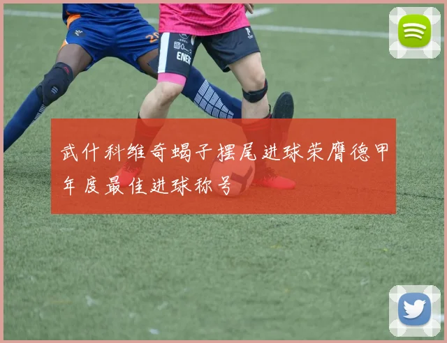 武什科维奇蝎子摆尾进球荣膺德甲年度最佳进球称号