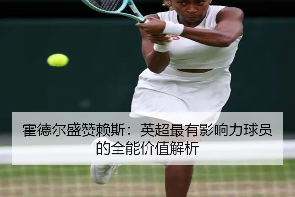 霍德尔盛赞赖斯：英超最有影响力球员的全能价值解析（IMSPORTS）